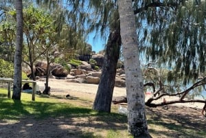 Airlie Beach: Vacker dagsutflykt till Bowen och Flagstaff Hill.