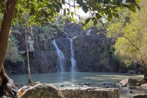 Airlie Beach: ekologiczna wycieczka do Cedar Creek Falls