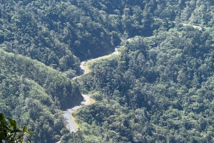 Airlie Beach: passeio ecológico pelos ornitorrincos e floresta tropical de Eungella