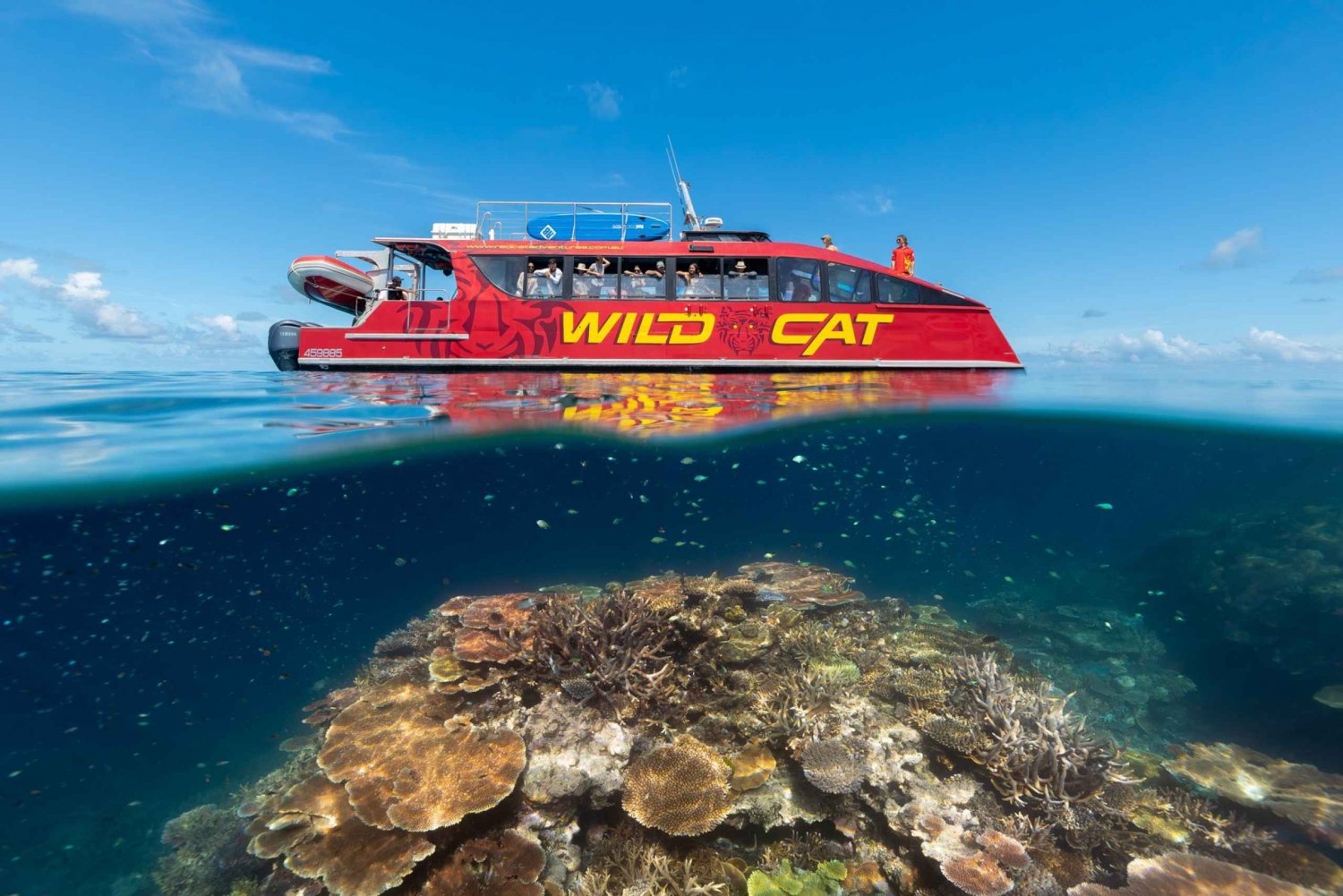 Outer-Barrier-Reef-Scuba-Diving