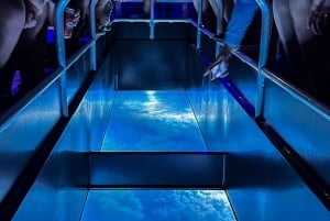 Airlie Beach: Glass-Bottom Boat Night Tour