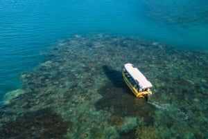 Airlie Beach: Glass-Bottom Boat Tour