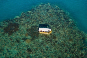 Airlie Beach: Glass-Bottom Boat Tour