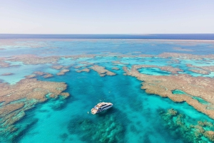 Airlie Beach: Great Barrier Reef Snorkel from Shute Harbour