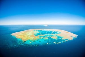 Airlie Beach : Plongée en apnée dans la Grande Barrière de Corail à partir de Shute Harbour