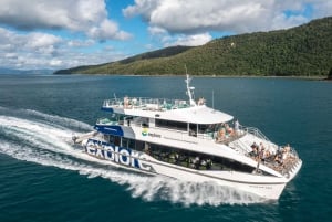 Airlie Beach : Plongée en apnée dans la Grande Barrière de Corail à partir de Shute Harbour