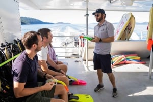 Airlie Beach : Plongée en apnée dans la Grande Barrière de Corail à partir de Shute Harbour