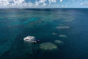 Airlie Beach : Plongée en apnée dans la Grande Barrière de Corail à partir de Shute Harbour