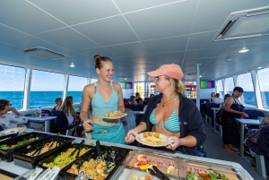 Airlie Beach : Plongée en apnée dans la Grande Barrière de Corail à partir de Shute Harbour
