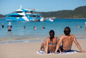 Airlie Beach: Cruise van een halve dag rechtstreeks naar Whitehaven Beach