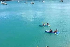 Airlie Beach: Half Day Turtle Tour Sea Kayaking Adventure