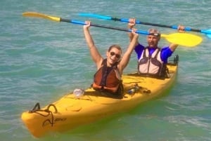 Airlie Beach: Half Day Turtle Tour Sea Kayaking Adventure