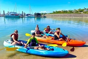 Airlie Beach: Half Day Turtle Tour Sea Kayaking Adventure