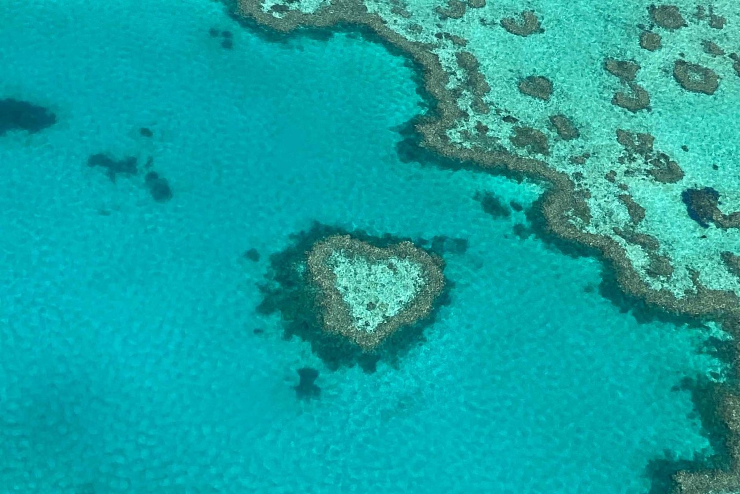 Snorkel-in-the-Heart-of-the-Great-Barrier-Reef