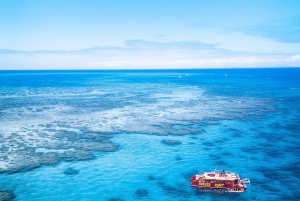 Airlie Beach: Escursione di un giorno per lo snorkeling della barriera corallina esterna