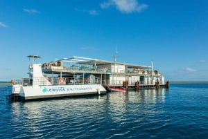 From Airlie Beach: Cruise and ReefWorld Pontoon Experience