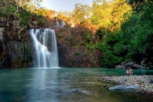 Airlie Beach: ekologiczna wycieczka do Cedar Creek Falls