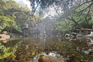 Airlie Beach: ekologiczna wycieczka do Cedar Creek Falls