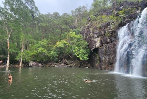 Airlie Beach: avventura ecologica tra cascate e foresta pluviale