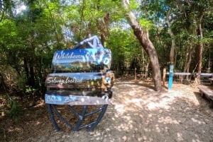 Airlie Beach: Whitehaven Beach Day Tour with Snorkel Option