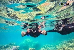 Airlie Beach: Whitehaven Beach Day Tour with Snorkel Option