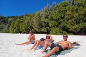 Airlie Beach: Dagstur til Whitehaven Beach med mulighet for snorkling