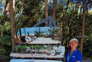 Airlie Beach: Dagstur til Whitehaven Beach med mulighet for snorkling