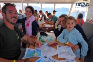 Airlie Beach: Dagstur til Whitehaven Beach med mulighet for snorkling