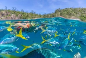 Airlie Beach: Adults-Only Whitehaven Beach Sailing Tour