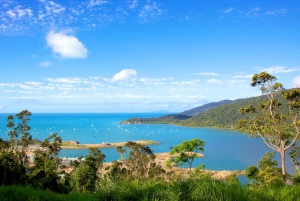 Airlie Beach: Whitsundays and Whitehaven Half-Day Cruise