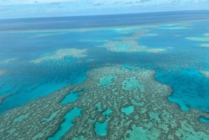Airlie Beach: Whitsundays & Great Barrier Reef Scenic Flight