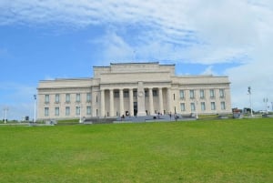 Auckland: Full-Day City Highlights Tour