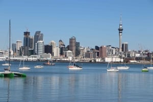 Auckland: Half-Day Scenic Sightseeing Tour