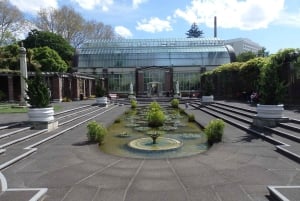 Auckland: Half-Day Scenic Sightseeing Tour