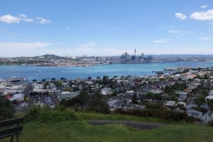 Auckland: Half-Day Scenic Sightseeing Tour