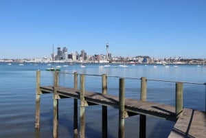 Auckland: Half-Day Scenic Sightseeing Tour