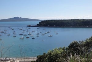 Auckland: Half-Day Scenic Sightseeing Tour