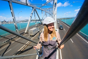 Auckland Harbor Bridge: Bridge Climb