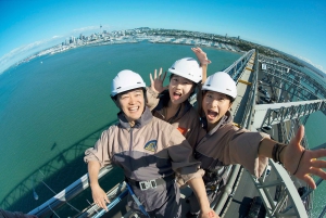 Auckland Harbor Bridge: Bridge Climb