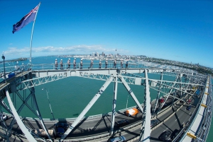 Auckland Harbor Bridge: Bridge Climb