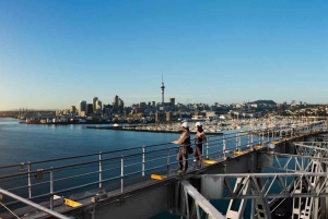 Auckland Harbor Bridge: Bridge Climb