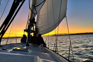 Auckland: Harbour Sailing Cruise with 3-Course Dinner