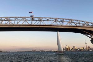 Auckland: Harbour Sailing Cruise with 3-Course Dinner