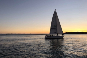 Auckland: Harbour Sailing Cruise with 3-Course Dinner