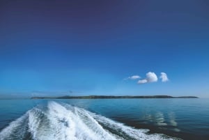 Auckland: Rejs widokowy po porcie