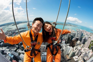 Auckland: SkyWalk with Sky Tower Entry Ticket