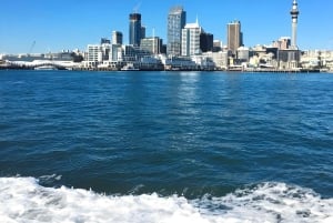 Auckland: Waitematā Harbour Cruise with Live Commentary