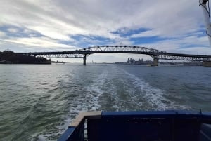 Auckland: Waitematā Harbour Cruise with Live Commentary