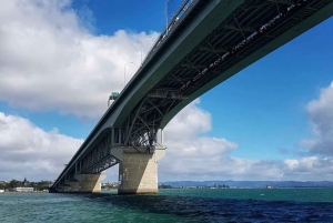 Auckland: Waitematā Harbour Cruise with Live Commentary