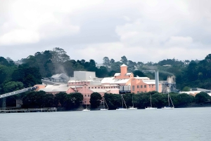 Auckland: Waitematā Harbour Cruise with Live Commentary